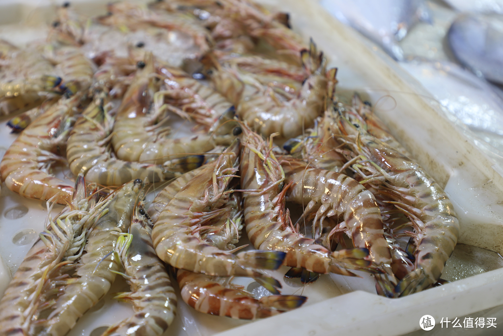 最肥美石浦攻略—冬至将至，吃东海小海鲜才是最正经的事！