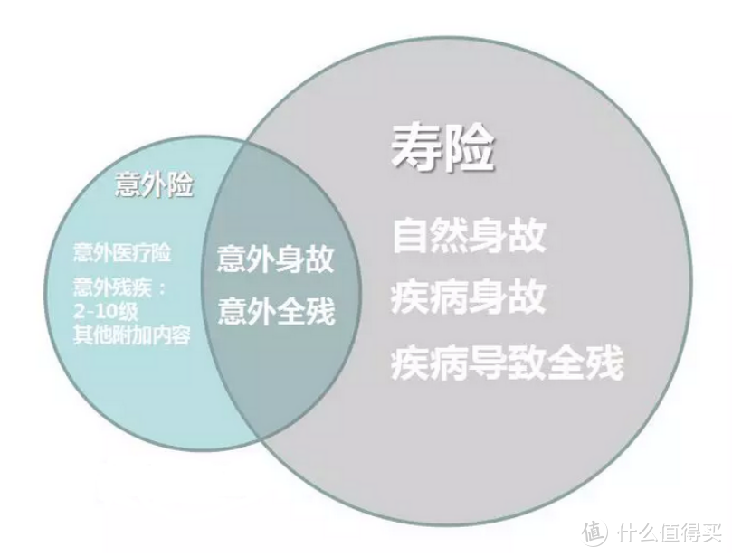 成年人的保险方案中没有定期寿险，你是个不合格的代理人