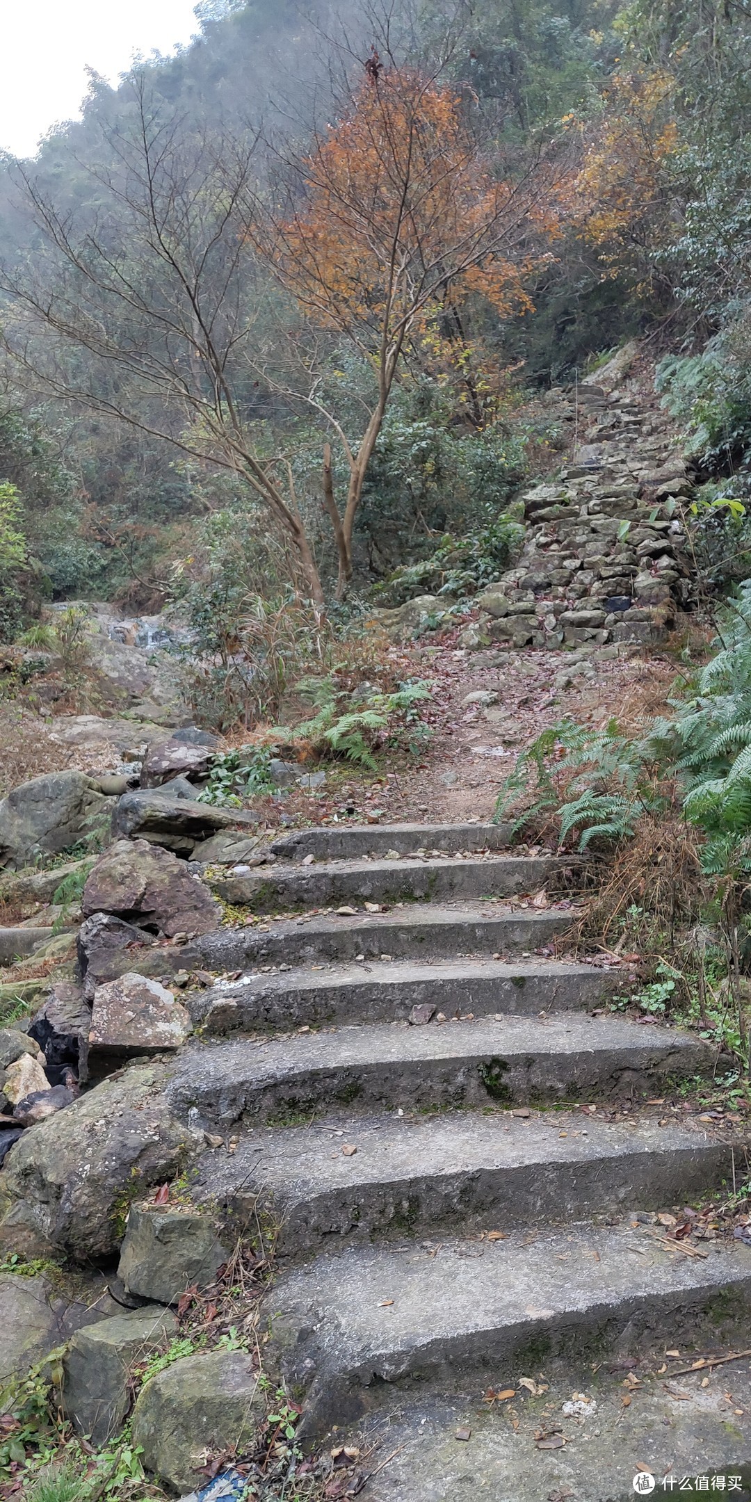 穿越宁波无人区，记五连坑环线徒步登山