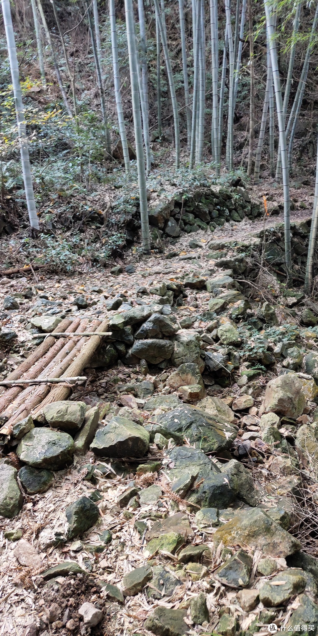 穿越宁波无人区，记五连坑环线徒步登山