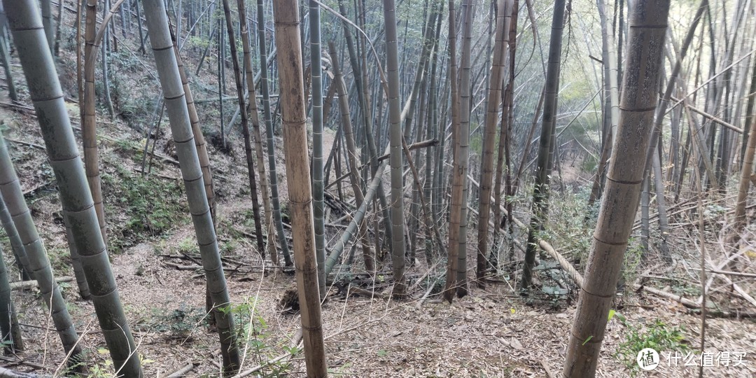 穿越宁波无人区，记五连坑环线徒步登山