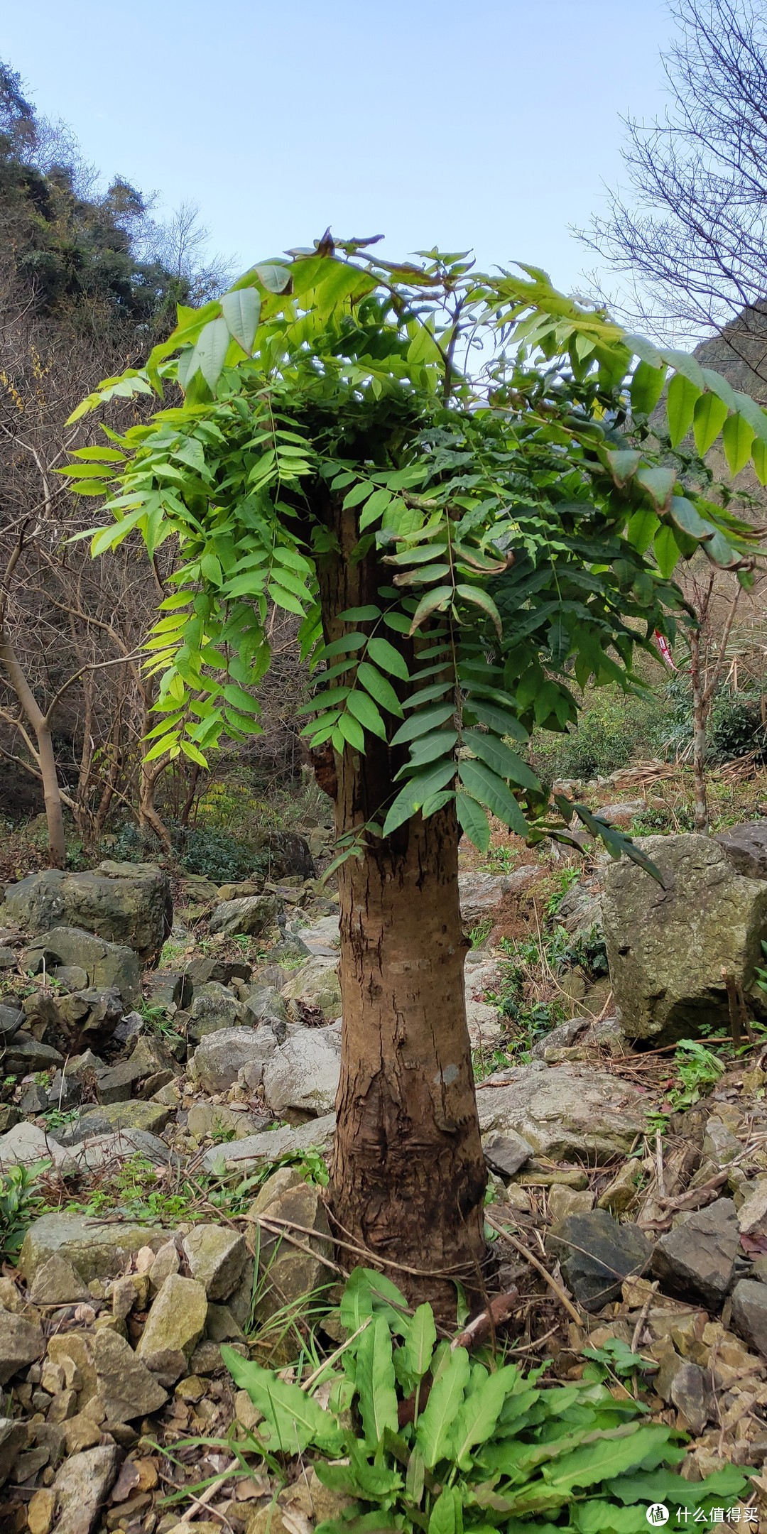 穿越宁波无人区，记五连坑环线徒步登山