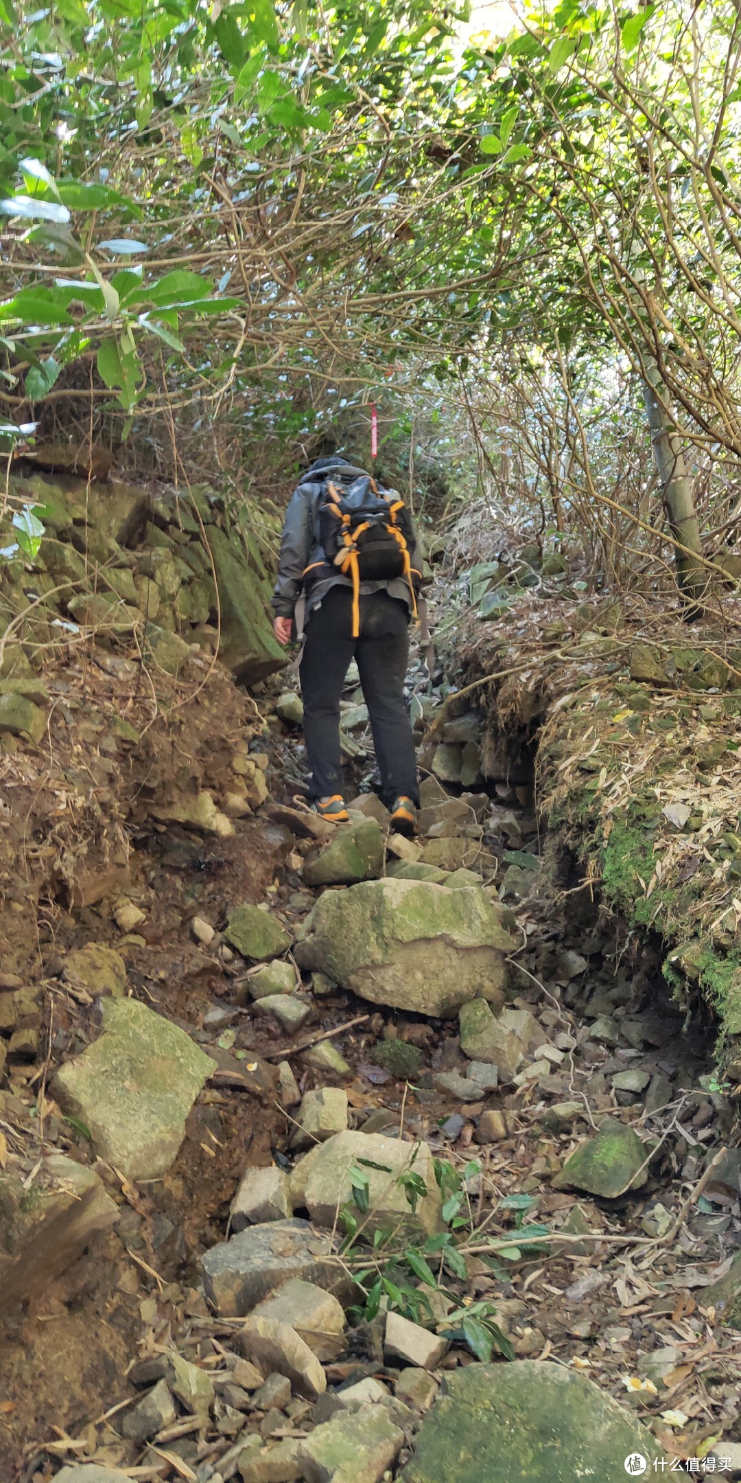 穿越宁波无人区，记五连坑环线徒步登山