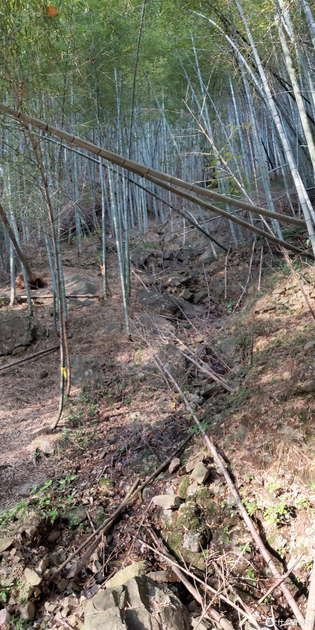 穿越宁波无人区，记五连坑环线徒步登山