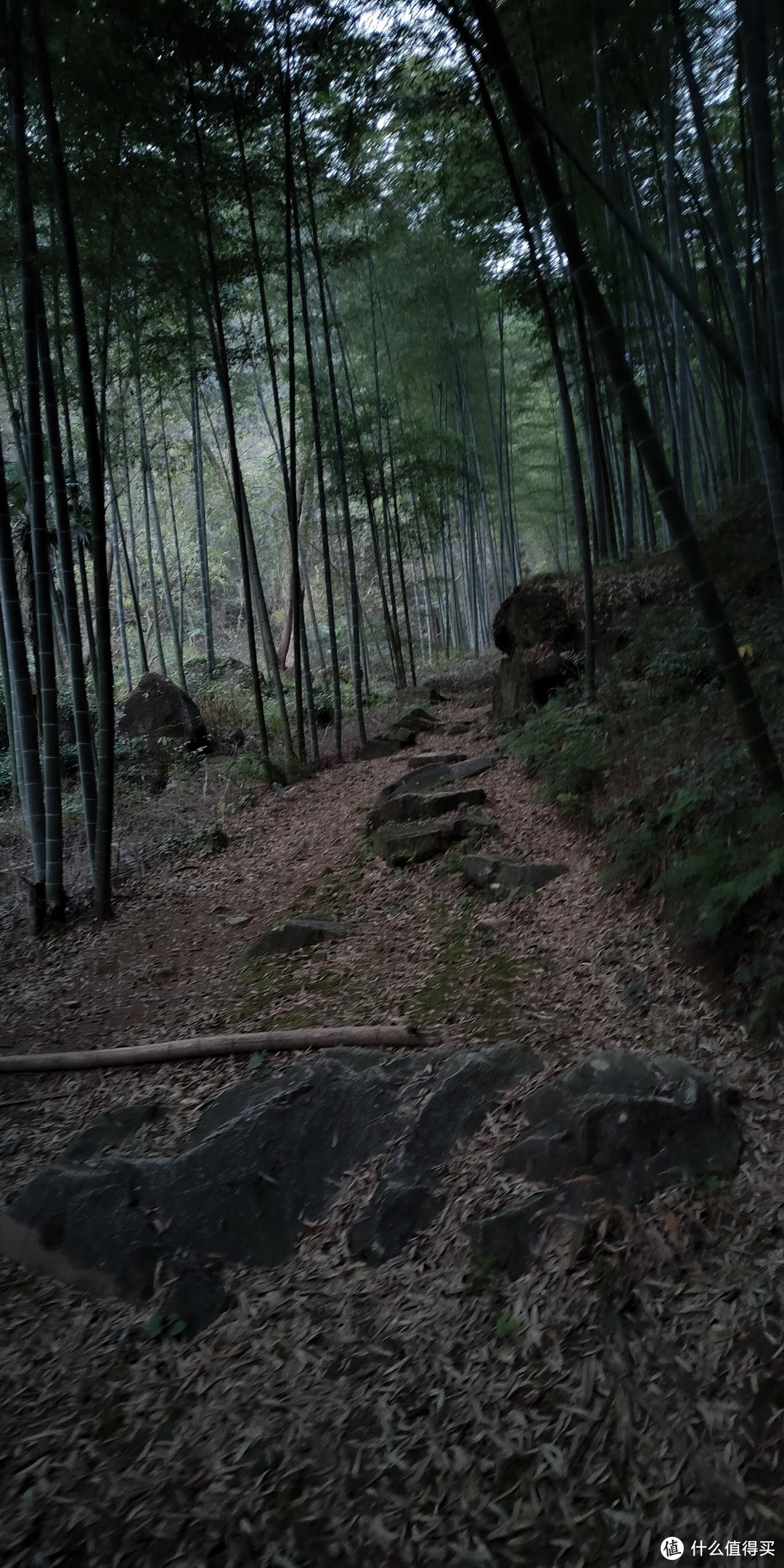 穿越宁波无人区，记五连坑环线徒步登山