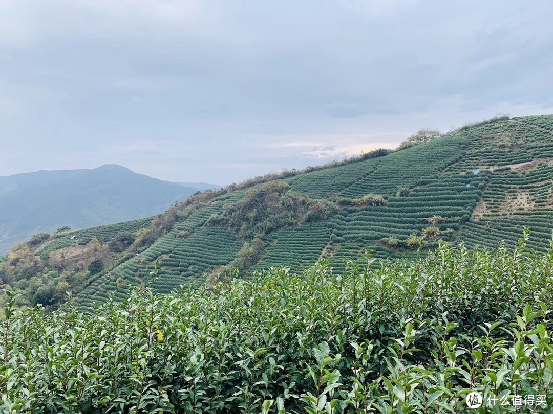 备战东京马拉松之首次越野，写在九龙湖越野之后（附装备指南）