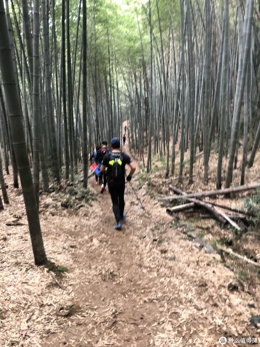 备战东京马拉松之首次越野，写在九龙湖越野之后（附装备指南）