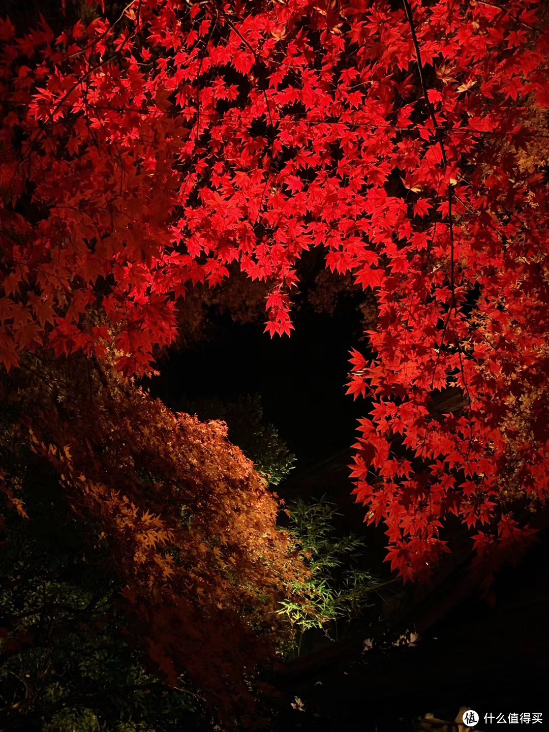 夜游一年只开二季的超级网红景点—京都琉璃光园攻略