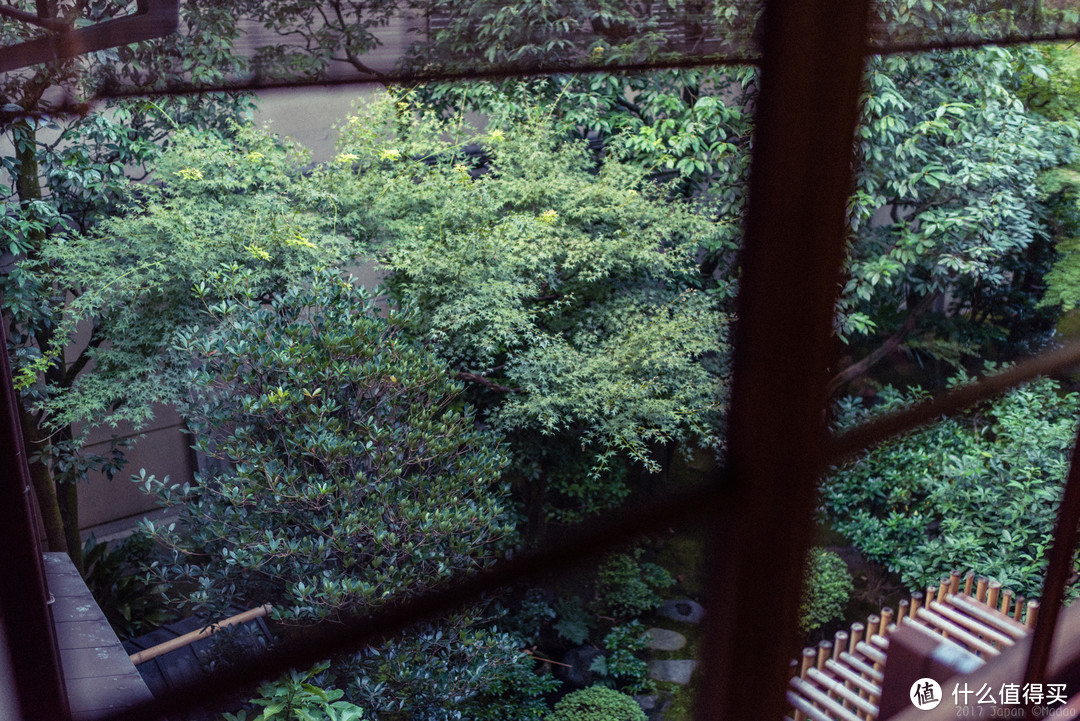 再访京都，稻荷山与花之绘姿