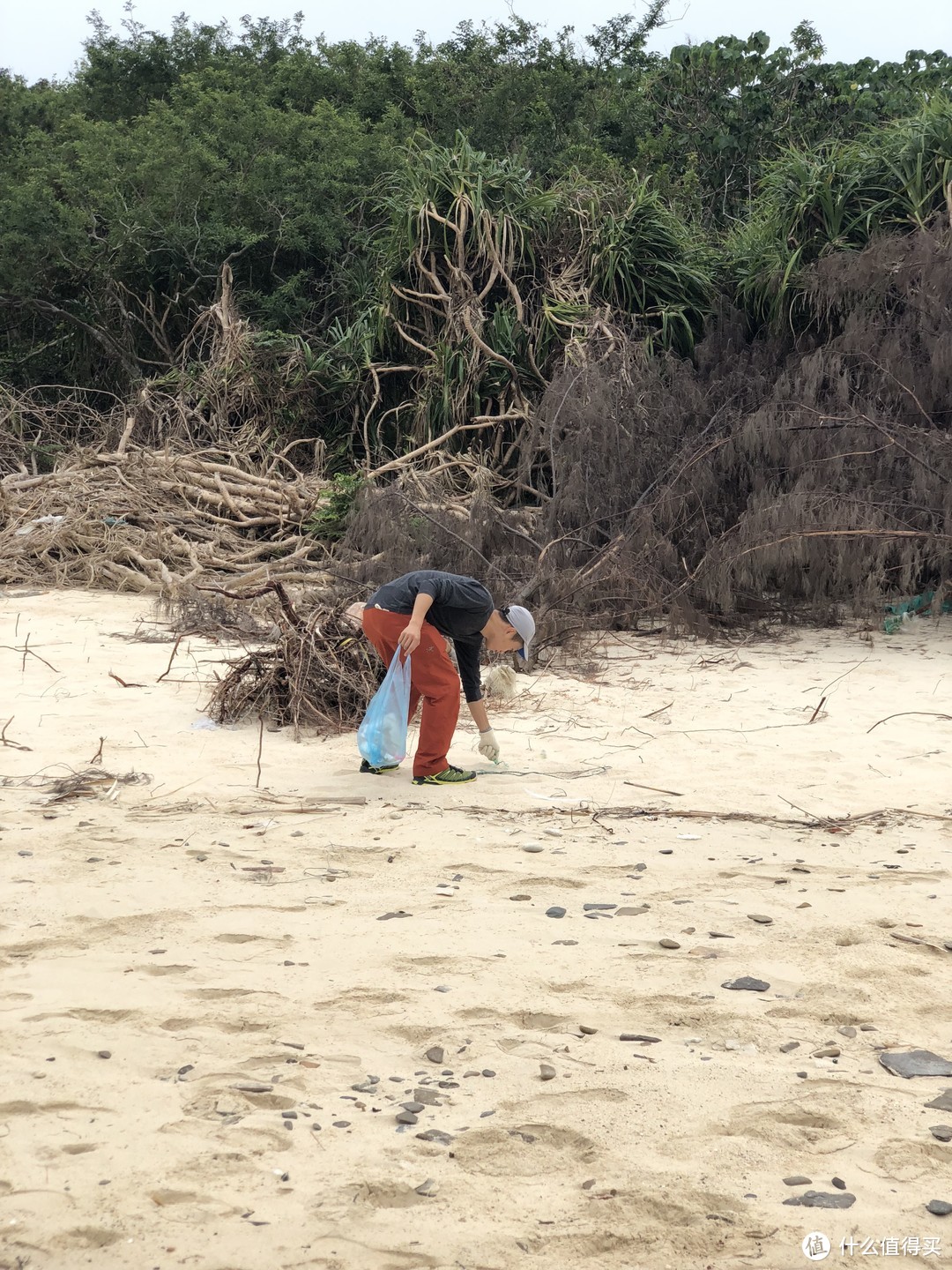 香港露营—我们在东平洲岛Plogging