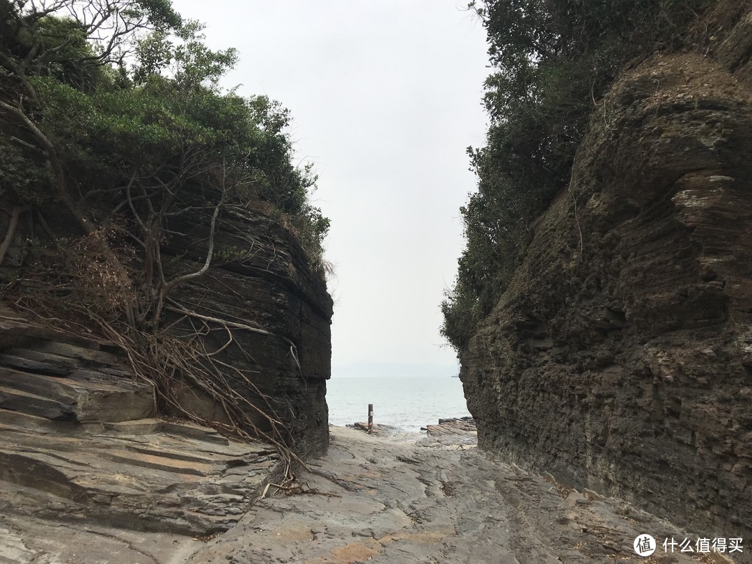 香港露营—我们在东平洲岛Plogging