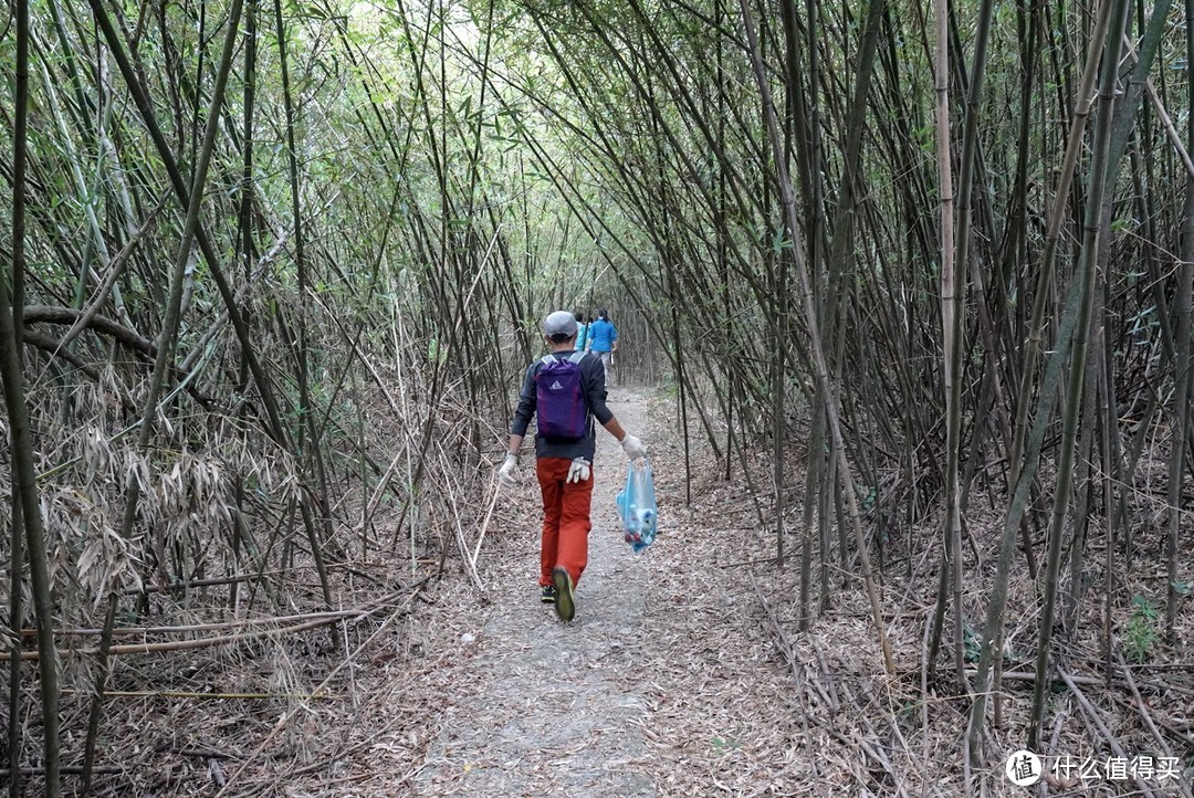 香港露营—我们在东平洲岛Plogging