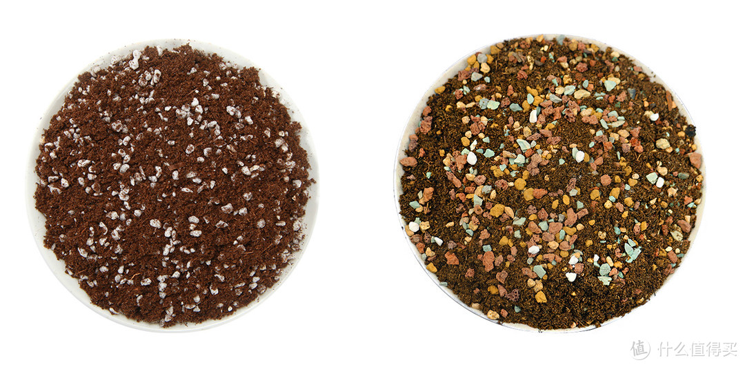 多肉颗粒土，育苗土（左）与老桩土（右）