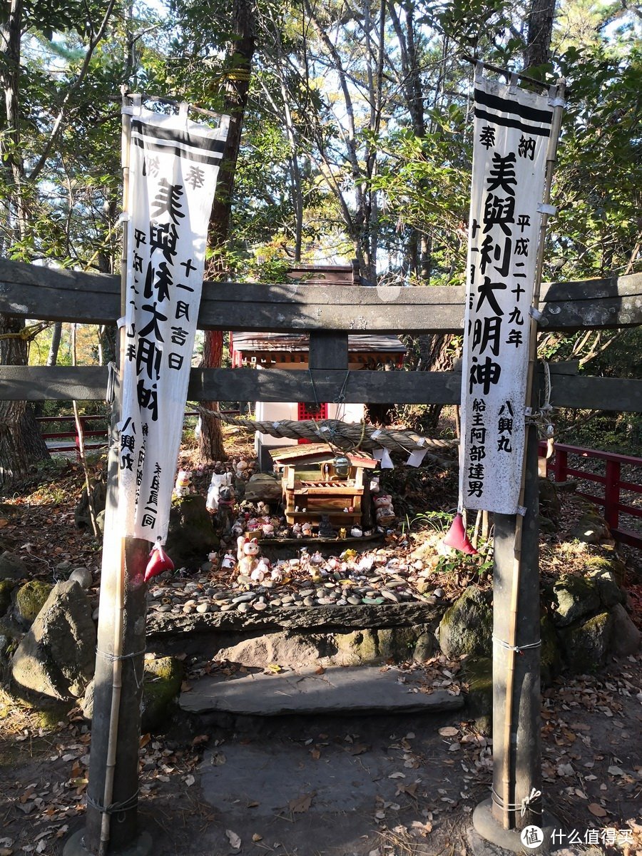 石卷市猫岛一日游（大量猫图）