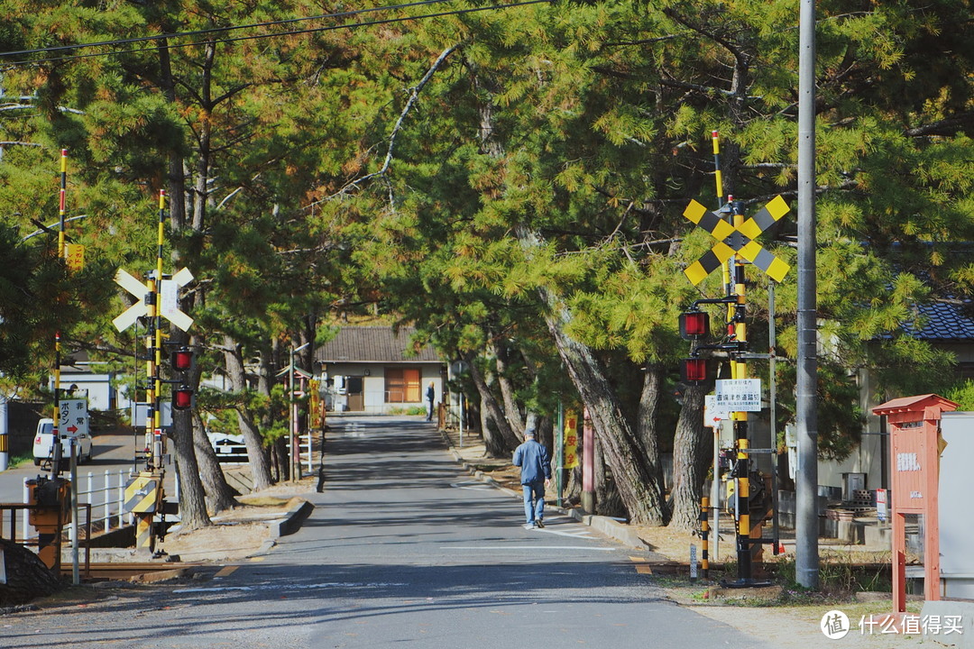 日本山阴山阳 | 追CON、暴走与发呆