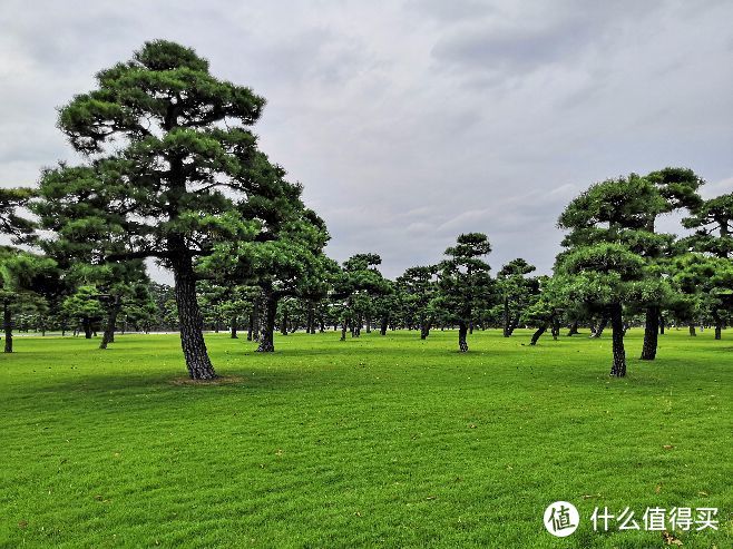 皇居外大广场的草坪，艹好绿……好绿……广场好大……好大……木有垃圾