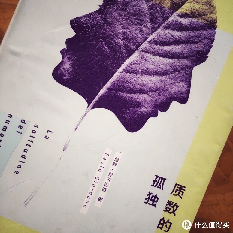 《质数的孤独》