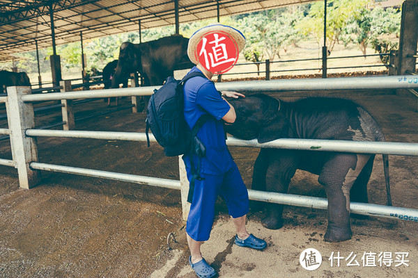 世界那么大，背着乐摄宝威斯乐350相机包，我们一起去看看~