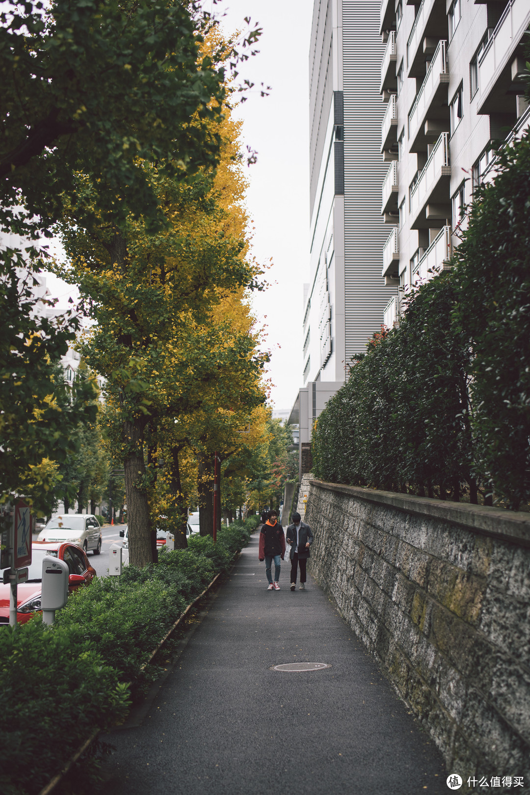 主路街景