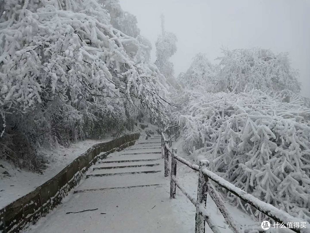 沐浴冬季里的佛光，追寻雪日里的朝阳—峨眉山之旅