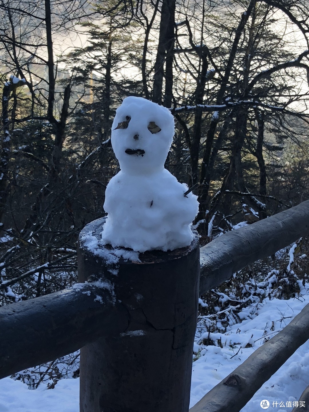 沐浴冬季里的佛光，追寻雪日里的朝阳—峨眉山之旅