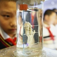 弥鹿儿童人体认知拼图玩具使用总结(推荐|造型)