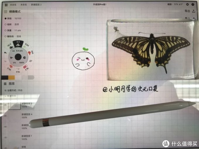 时间晶体篇一 定格每一个美好瞬间 柑橘凤蝶标本制作指南 装饰摆件 什么值得买