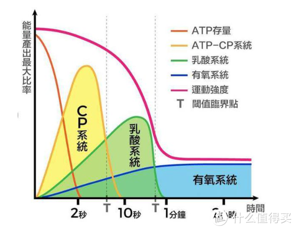 2018终章健身先健脑之起底健身中的那些谣言和伪科学