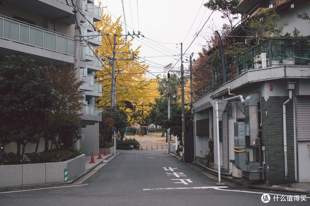 又回到了熟悉的风景