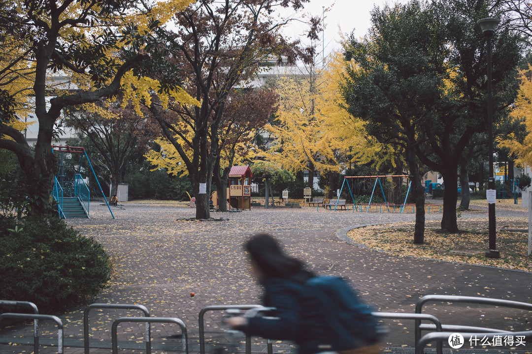 秋日的神奈川公园