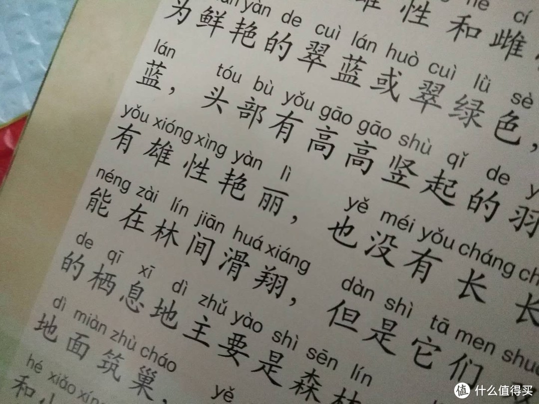 微胖小北鼻的24小时（篇八） cc宝贝图书记