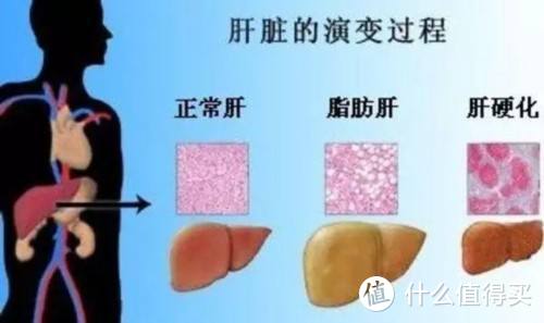 减肥没有那么难，这10个BBC用科学实验证实了的结论来看看！