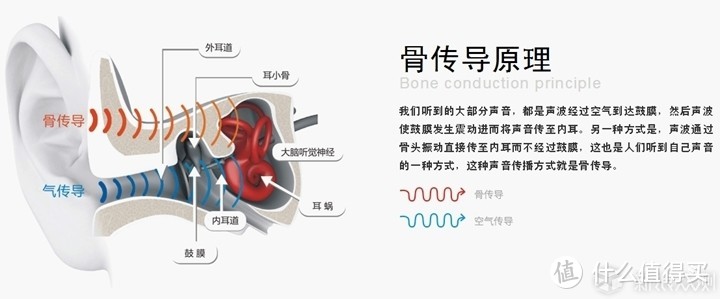 【测评】买耳机，我可能只会选这一个