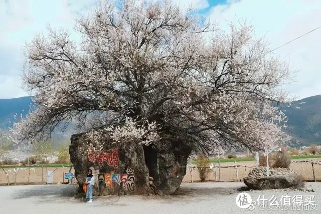 人像篇：拿好这篇教程人像教程，像别人家的男朋友一样拍照