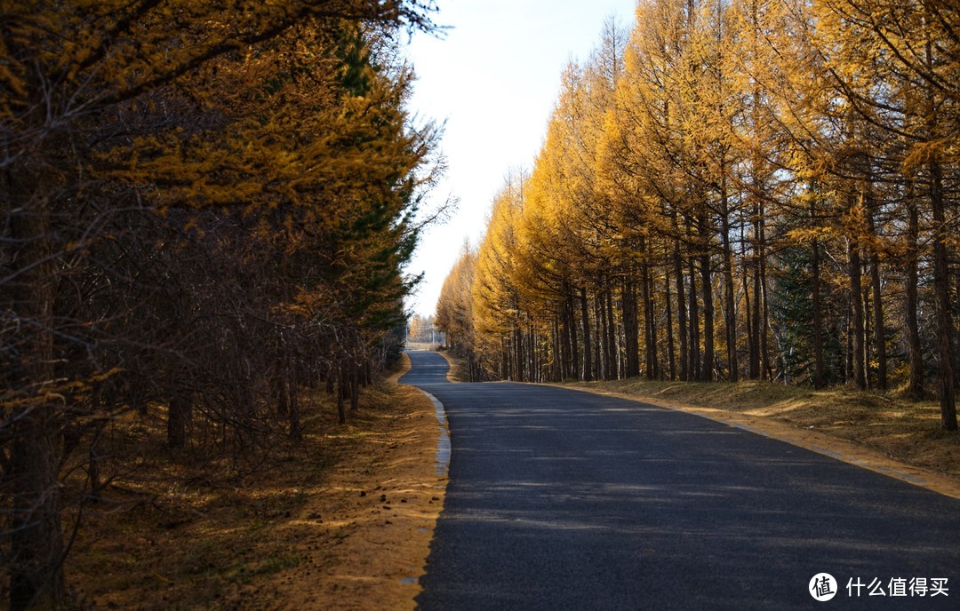 抓住秋天的尾巴，一路向北—承德、塞罕坝之旅