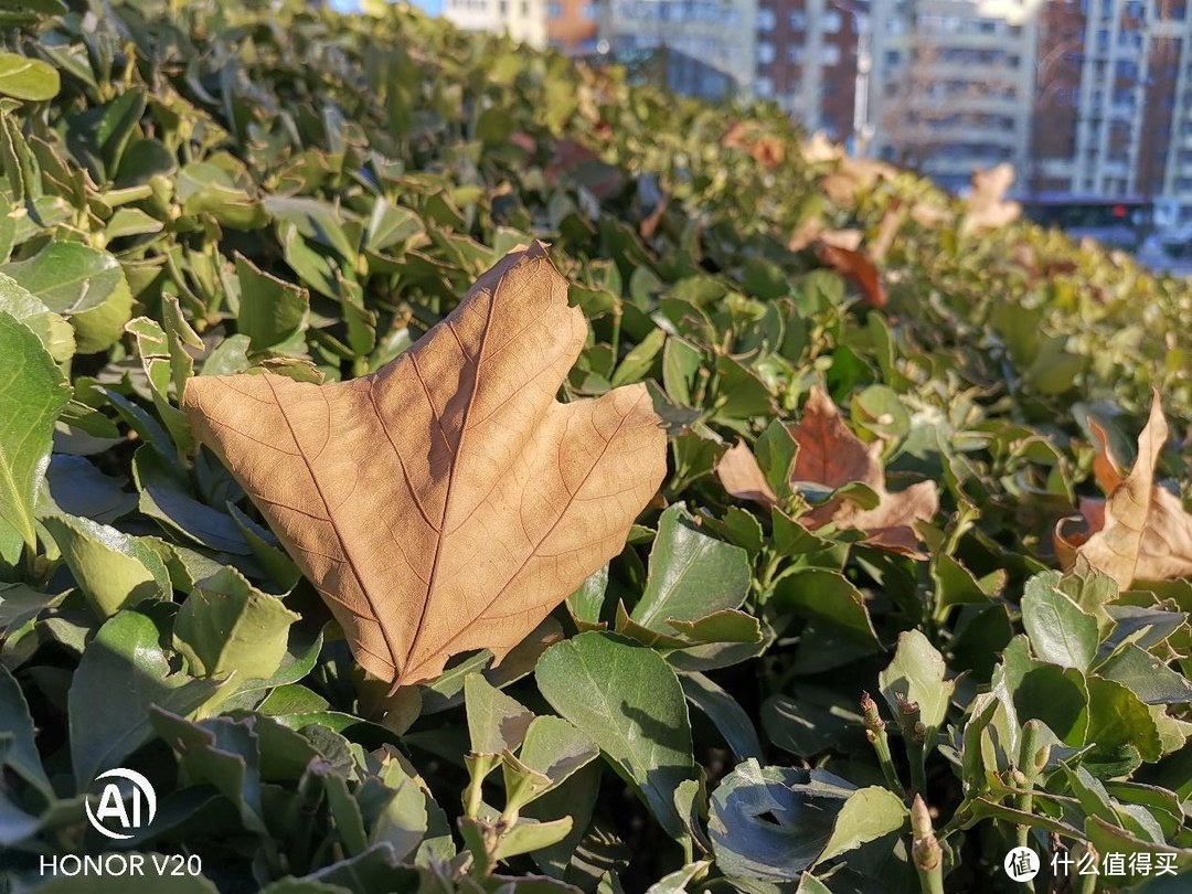 2999元起 最便宜的麒麟980旗舰手机 4800万像素的荣耀V20评测