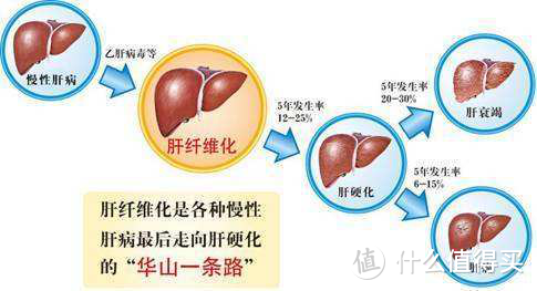 保险十年，第一次教人带病投保