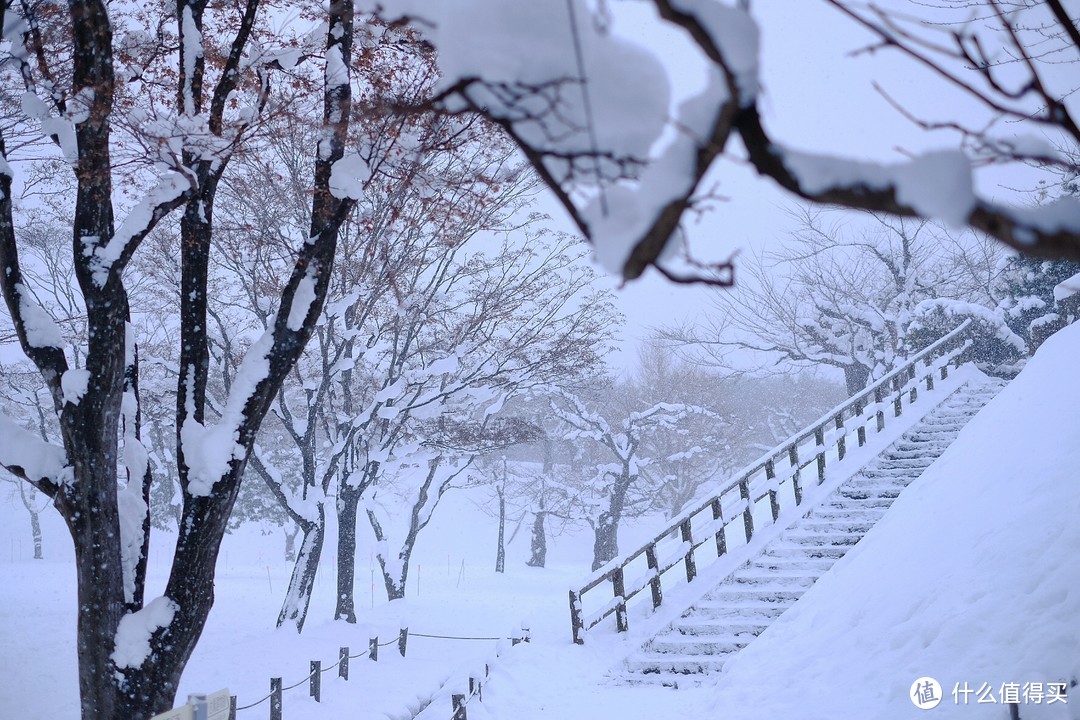 穷人才玩北海道