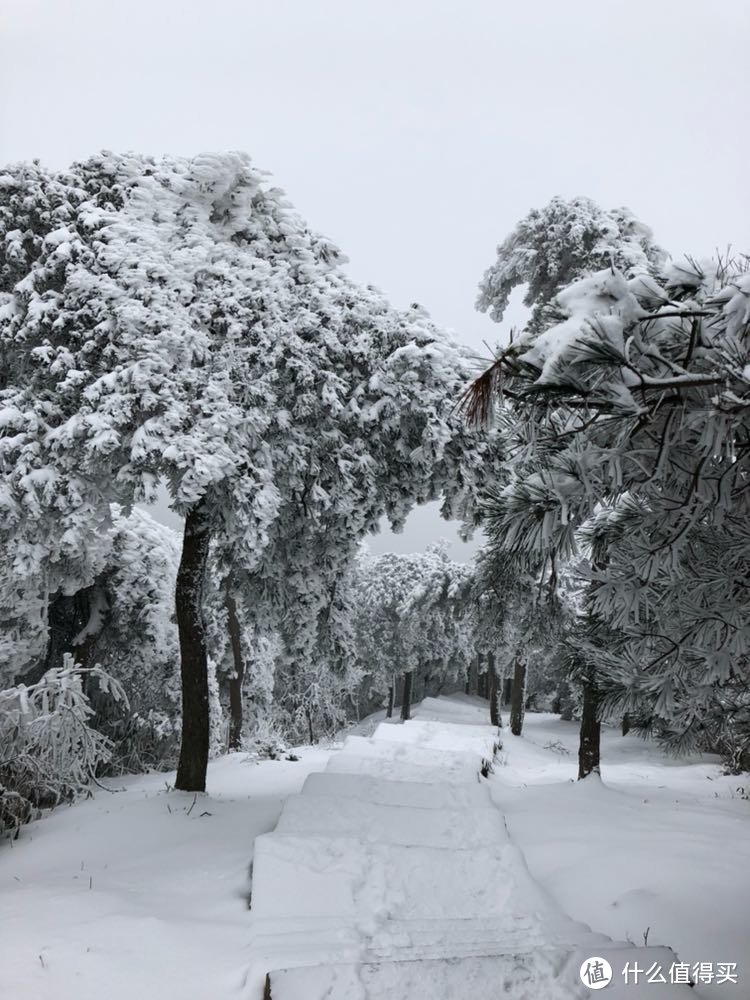 新年登峰赏风光，九华待客披雪妆