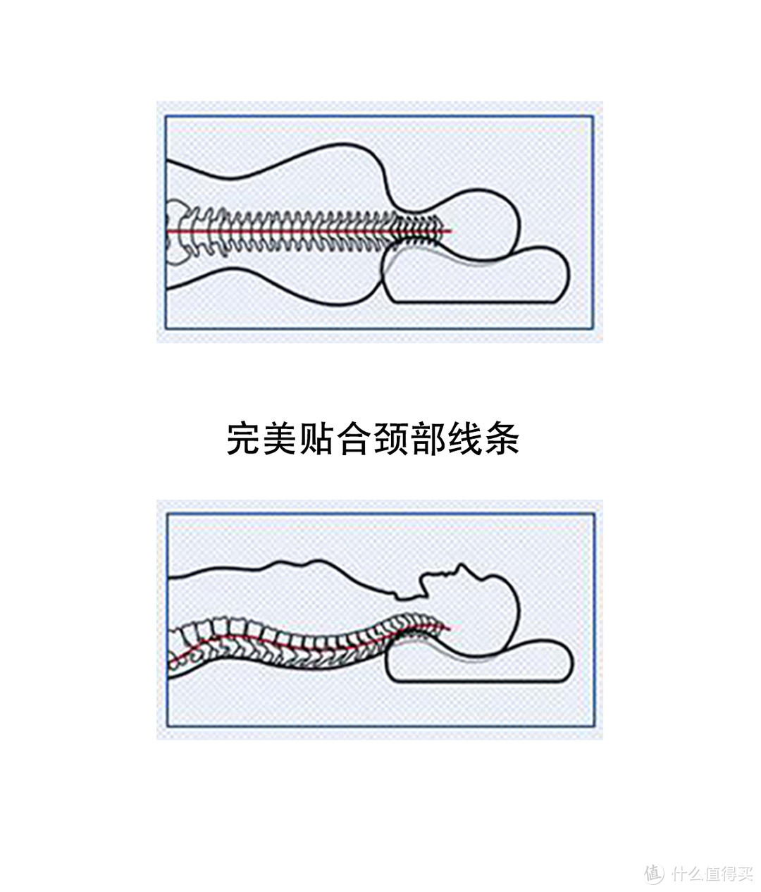 守护颈椎从枕头开始——芝华仕宇航枕简晒