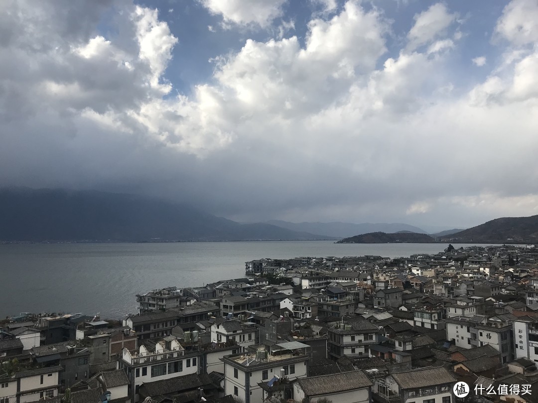 阳光+蓝天+樱花+海鸥+古城，我的元旦云南旅行