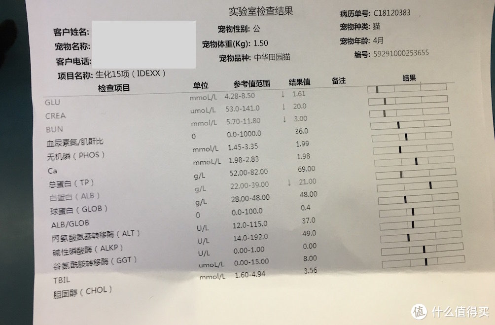 46天我送走了一个生命，我与南瓜的短暂疾病战斗史