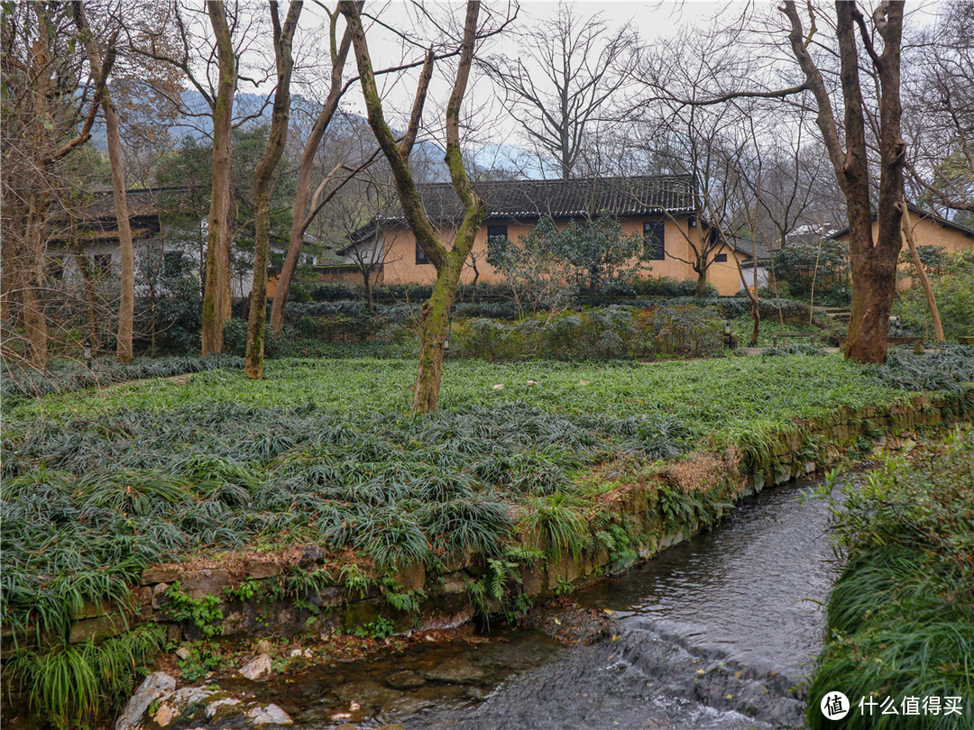 临富春江畔登灵隐三寺——经典小众杭州3日自由行游记