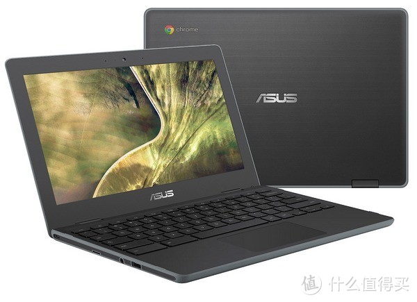CES 2019：ASUS 华硕 发布 Chromebook C204/C403 学生教育 笔记本电脑
