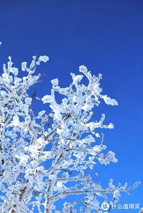 内蒙古不只有草原，还有火山、湖泊、峡谷、温泉和雪，旅游攻略来喽！