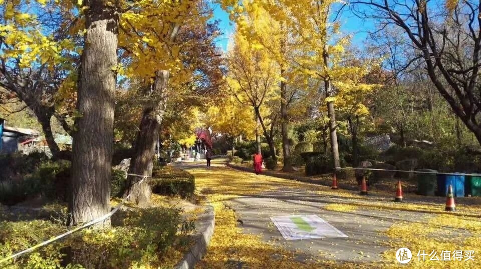 跑步三年多，除了健康，还收获了块奖牌（内含赛事简评及跑鞋推荐）下篇