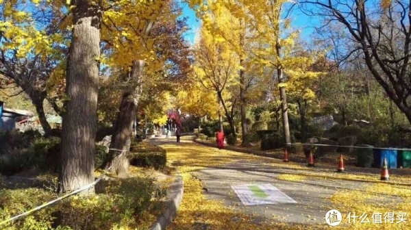 跑步三年多,除了健康,还收获了块奖牌(内含赛事简评及跑鞋推荐)下篇