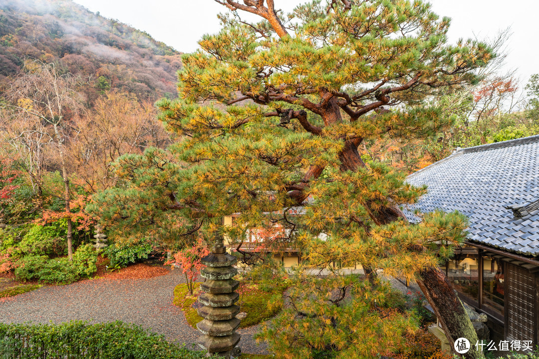 灯火岚山处，TOGETSU行政套房@京都翠岚豪华精选