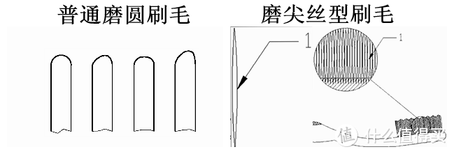 5款儿童电动牙刷测评：哪款清洁能力更强？