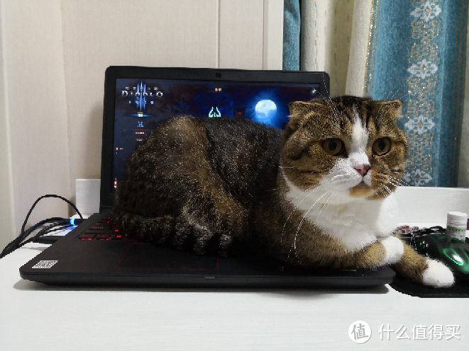 CatGenie猫洁易使用体验及海淘过程